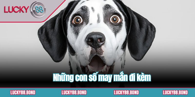 Những con số may mắn đi kèm